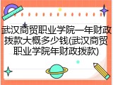 武汉商贸职业学院一年财政拨款大概多少钱(武汉商贸职业学院年财政拨款)