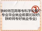 铁岭师范高等专科学校哪个专业毕业就业前景比较好(铁岭师专好就业专业)