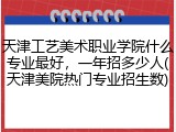 天津工艺美术职业学院什么专业最好，一年招多少人(天津美院热门专业招生数)