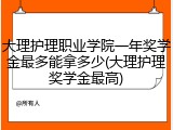 大理护理职业学院一年奖学金最多能拿多少(大理护理奖学金最高)