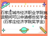 石家庄城市经济职业学院就读期间可以申请哪些奖学金(石家庄经济学院奖学金)