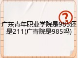 广东青年职业学院是985还是211(广青院是985吗)
