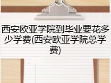 西安欧亚学院到毕业要花多少学费(西安欧亚学院总学费)
