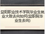 益阳职业技术学院毕业生就业大致去向如何(益职院毕业生去向)