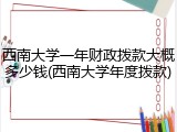西南大学一年财政拨款大概多少钱(西南大学年度拨款)