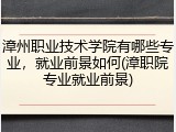 漳州职业技术学院有哪些专业，就业前景如何(漳职院专业就业前景)
