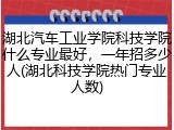 湖北汽车工业学院科技学院什么专业最好，一年招多少人(湖北科技学院热门专业人数)