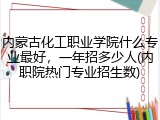 内蒙古化工职业学院什么专业最好，一年招多少人(内职院热门专业招生数)