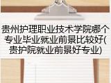 贵州护理职业技术学院哪个专业毕业就业前景比较好(贵护院就业前景好专业)