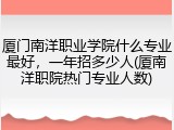厦门南洋职业学院什么专业最好，一年招多少人(厦南洋职院热门专业人数)