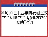 潍坊护理职业学院有哪些奖学金和助学金呢(潍坊护院奖助学金)