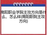 南阳职业学院主攻方向是什么，怎么样(南阳职院主攻方向)