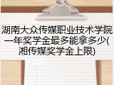 湖南大众传媒职业技术学院一年奖学金最多能拿多少(湘传媒奖学金上限)