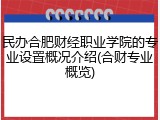 民办合肥财经职业学院的专业设置概况介绍(合财专业概览)