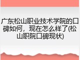 广东松山职业技术学院的口碑如何，现在怎么样了(松山职院口碑现状)