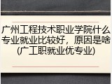 广州工程技术职业学院什么专业就业比较好，原因是啥(广工职就业优专业)