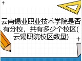 云南锡业职业技术学院是否有分校，共有多少个校区(云锡职院校区数量)