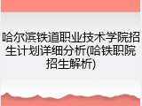 哈尔滨铁道职业技术学院招生计划详细分析(哈铁职院招生解析)