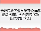 武汉民政职业学院开设有哪些奖学和助学金(武汉民政职院奖助学金)
