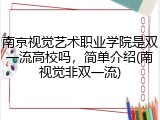 南京视觉艺术职业学院是双一流高校吗，简单介绍(南视觉非双一流)