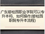 广东碧桂园职业学院可以专升本吗，如何操作(碧桂园职院专升本流程)
