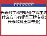 长春数字科技职业学院主攻什么方向有哪些王牌专业(长春数科王牌专业)