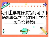 沈阳工学院就读期间可以申请哪些奖学金(沈阳工学院奖学金种类)
