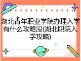 湖北青年职业学院办理入学有什么攻略没(湖北职院入学攻略)