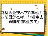 鹤壁职业技术学院毕业后就业前景怎么样，毕业生去向(鹤职院就业去向)