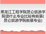 黑龙江工程学院昆仑旅游学院读什么专业比较有前景(昆仑旅游学院前景专业)