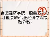 合肥经济学院一般要多少分才能录取(合肥经济学院录取分数)