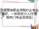 宁夏警官职业学院什么专业最好，一年招多少人(宁警院热门专业及招生)