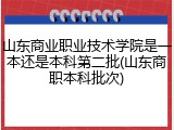 山东商业职业技术学院是一本还是本科第二批(山东商职本科批次)