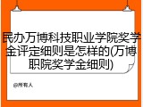 民办万博科技职业学院奖学金评定细则是怎样的(万博职院奖学金细则)