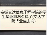 安徽文达信息工程学院的学生毕业都怎么样了(文达学院毕业生去向)