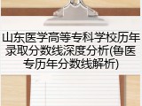 山东医学高等专科学校历年录取分数线深度分析(鲁医专历年分数线解析)