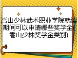 嵩山少林武术职业学院就读期间可以申请哪些奖学金(嵩山少林奖学金类别)