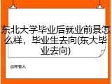 东北大学毕业后就业前景怎么样，毕业生去向(东大毕业去向)