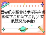 西安航空职业技术学院有哪些奖学金和助学金呢(西安航院奖助学金)
