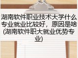 湖南软件职业技术大学什么专业就业比较好，原因是啥(湖南软件职大就业优势专业)