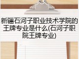 新疆石河子职业技术学院的王牌专业是什么(石河子职院王牌专业)