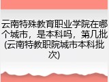 云南特殊教育职业学院在哪个城市，是本科吗，第几批(云南特教职院城市本科批次)