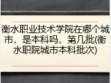 衡水职业技术学院在哪个城市，是本科吗，第几批(衡水职院城市本科批次)