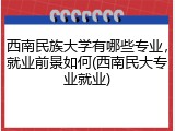 西南民族大学有哪些专业，就业前景如何(西南民大专业就业)