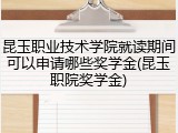 昆玉职业技术学院就读期间可以申请哪些奖学金(昆玉职院奖学金)