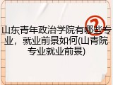 山东青年政治学院有哪些专业，就业前景如何(山青院专业就业前景)