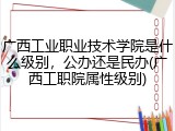 广西工业职业技术学院是什么级别，公办还是民办(广西工职院属性级别)