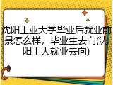 沈阳工业大学毕业后就业前景怎么样，毕业生去向(沈阳工大就业去向)