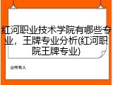 红河职业技术学院有哪些专业，王牌专业分析(红河职院王牌专业)