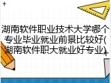 湖南软件职业技术大学哪个专业毕业就业前景比较好(湖南软件职大就业好专业)